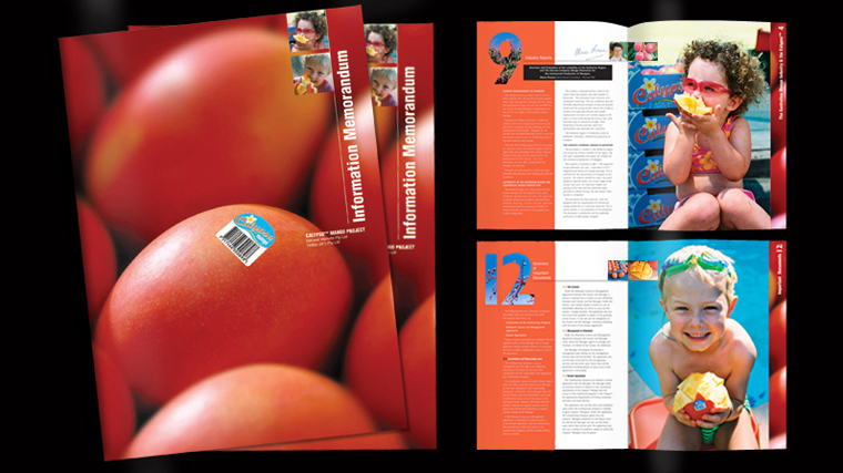 Calypso print marketing material